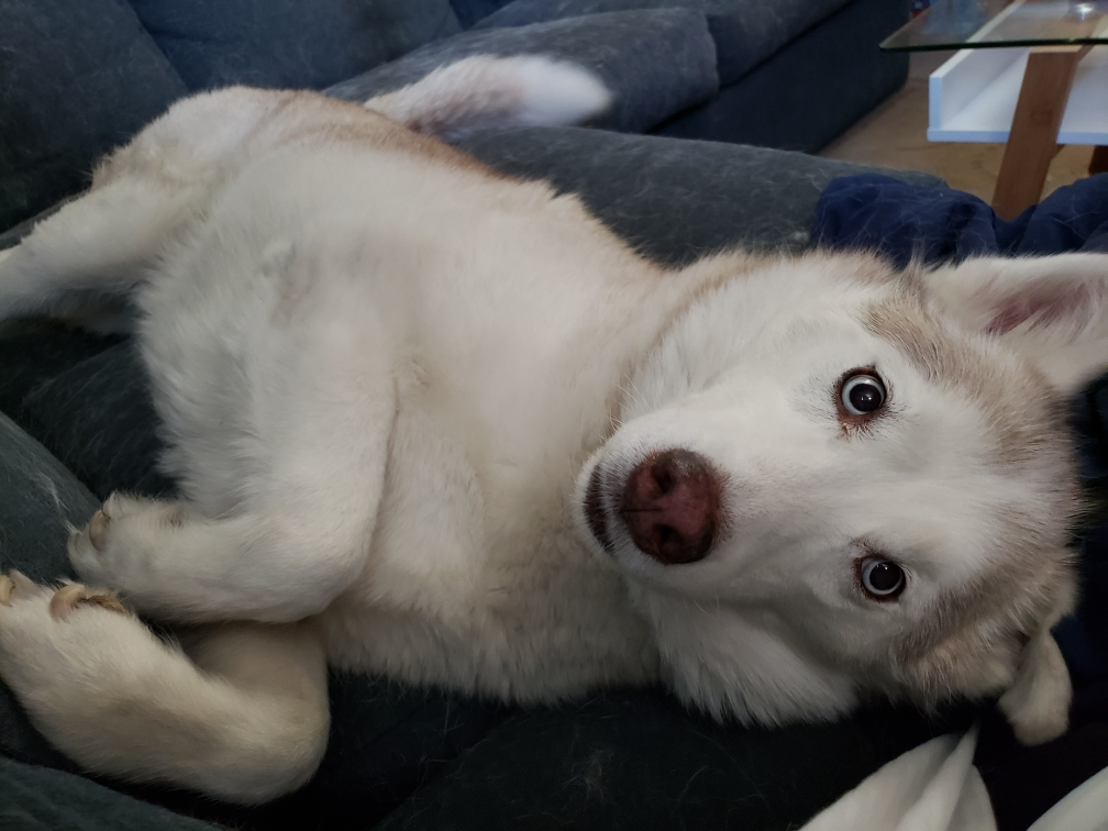 Photo of Three Sisters Stew